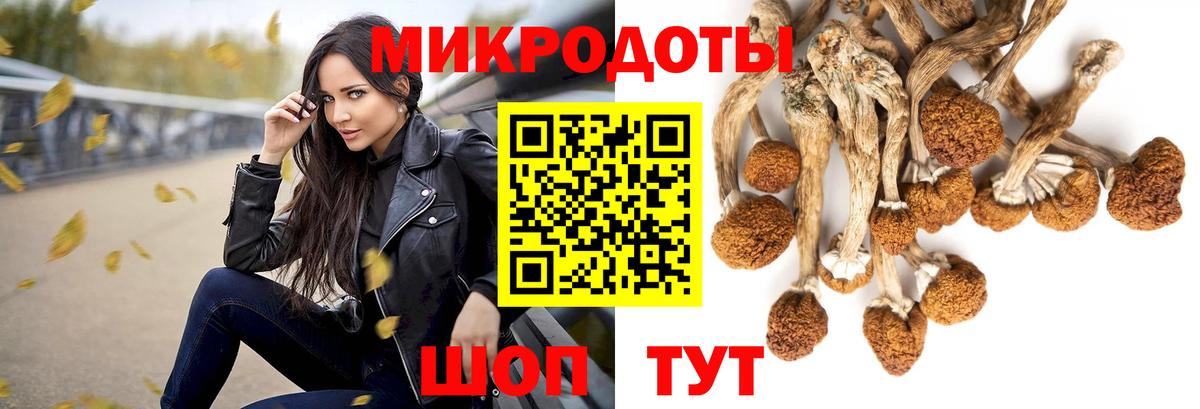 Галлюциногенные грибы GOLDEN TEACHER Краснокамск